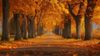 Herbst