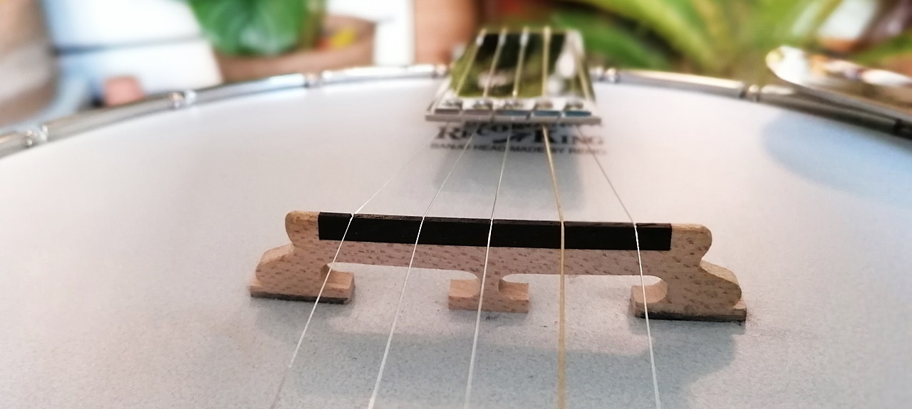 5 String Bluegrass Banjo - Bridge
