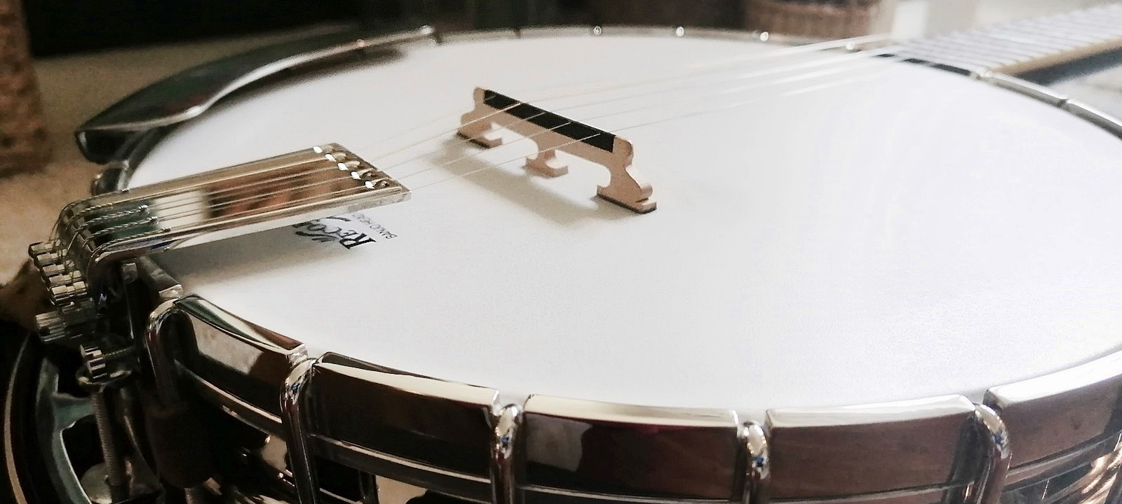 5 String Bluegrass Banjo - Bridge