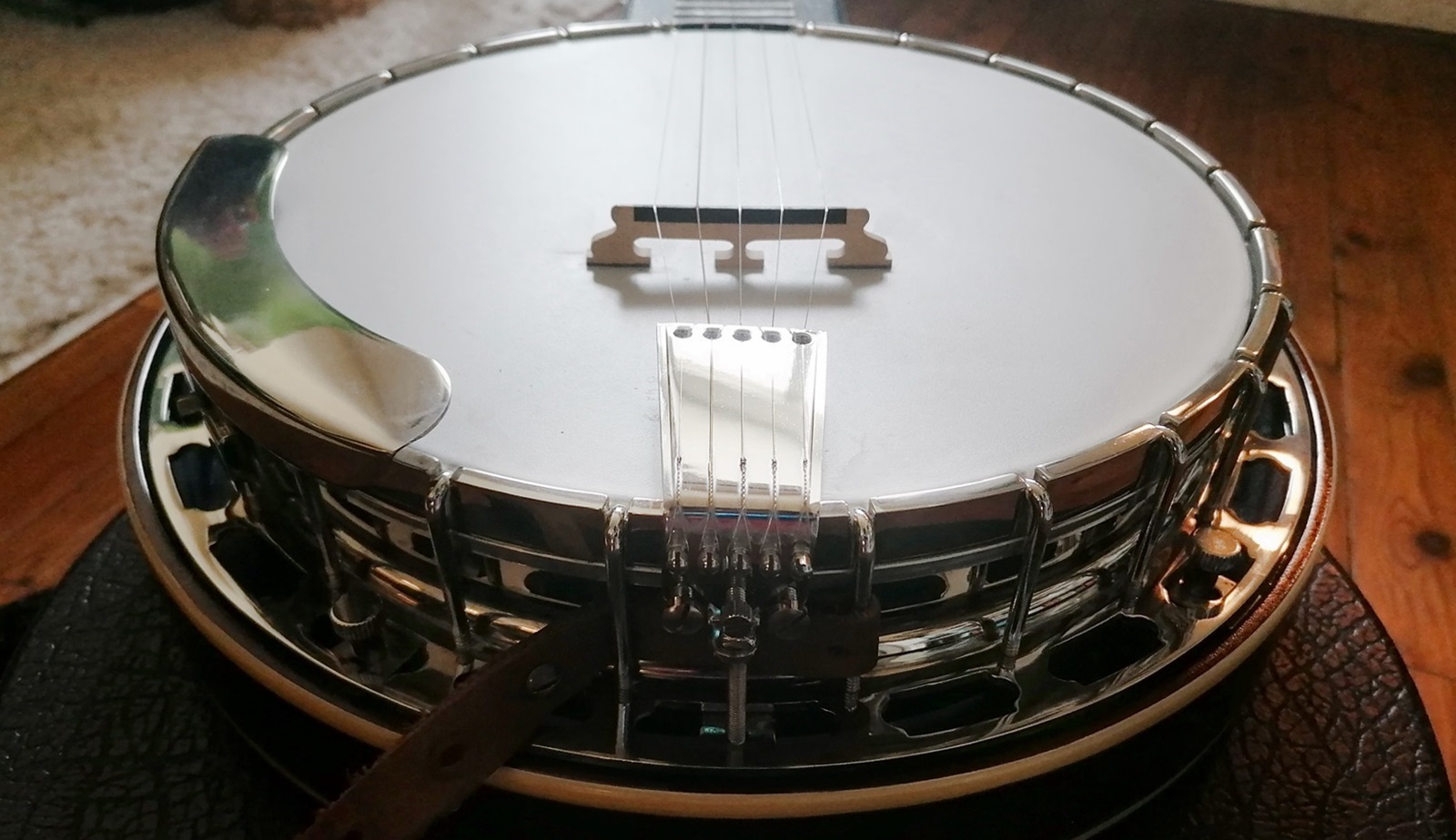 5 String Bluegrass Banjo