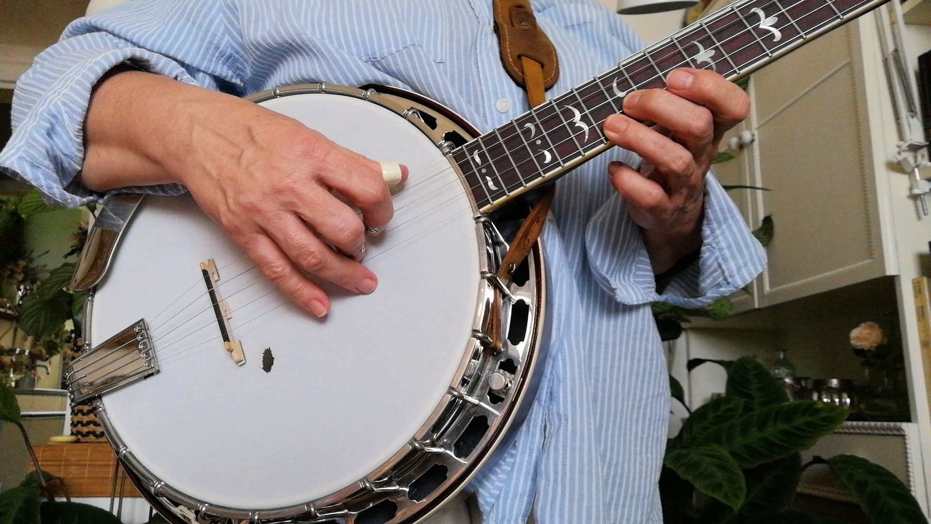 Bluegrass 5 String Banjo Player