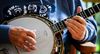Banjo Player Bluegrass