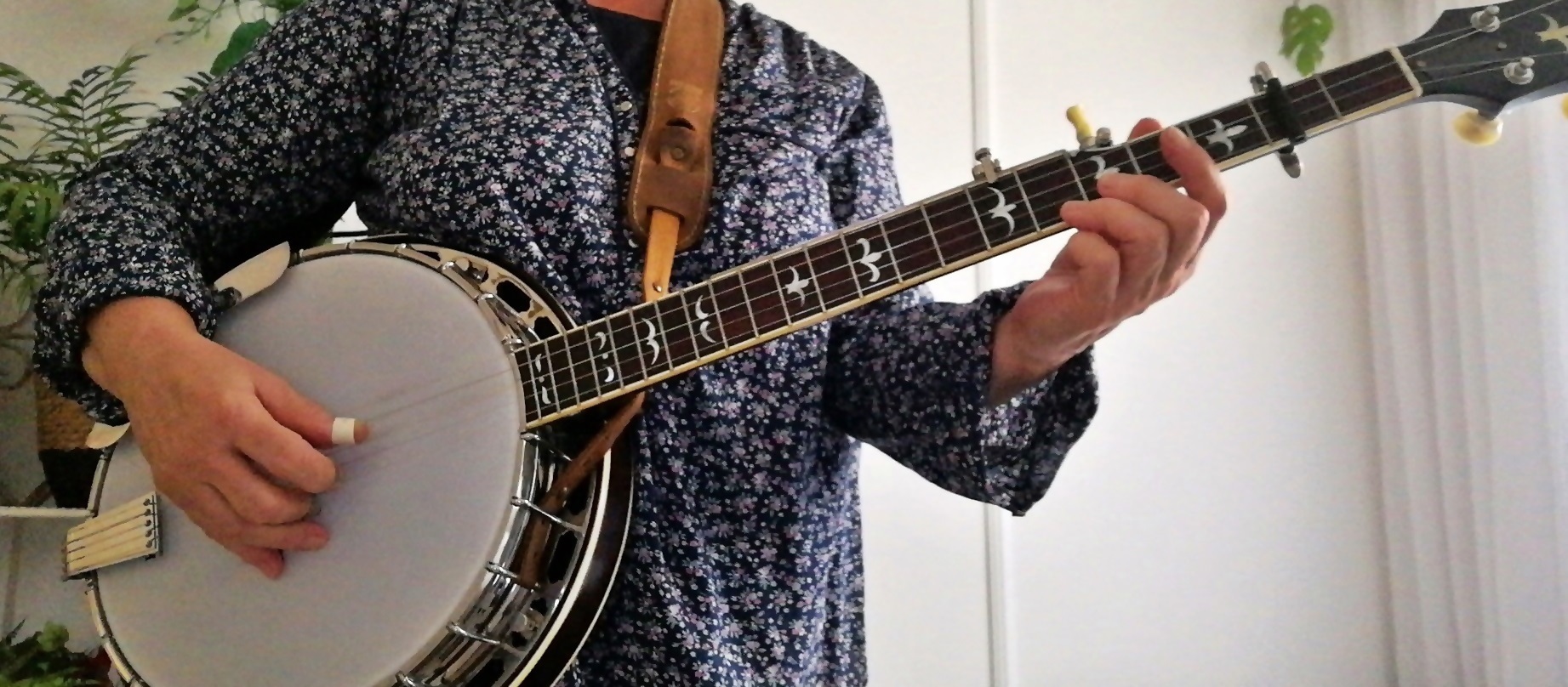 Banjo wesentliche Licks für Akkorde G, C und D Major