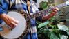 5 String Bluegrass Banjo - Scruggs Style