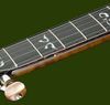 Banjo Spikes 