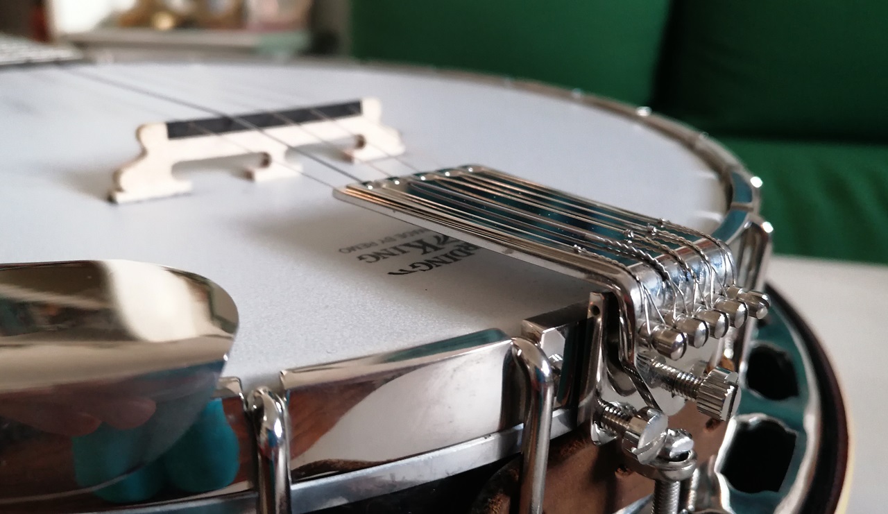 5 String Bluegrass Banjo - Tailpiece