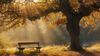 Herbst See
