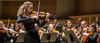 Orchestra