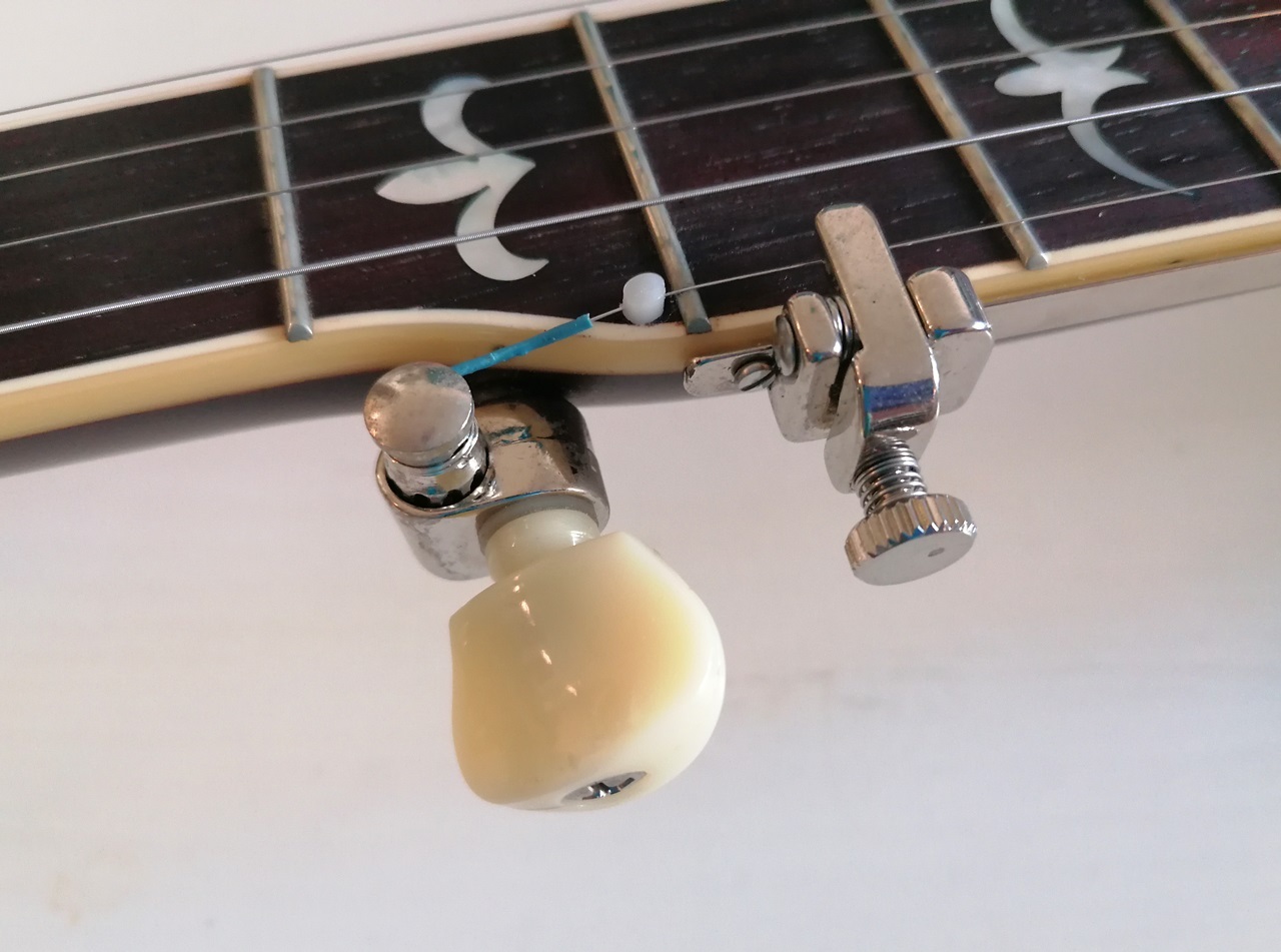 5 String Bluegrass Banjo - 5 String Peg