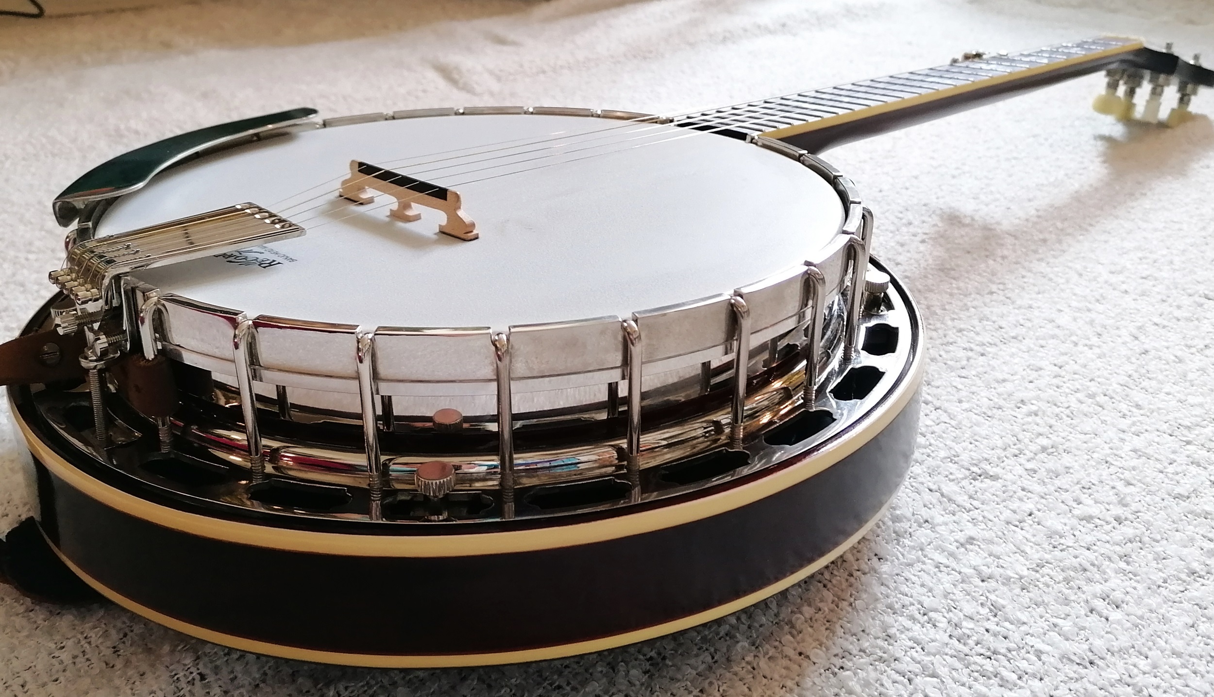 5 String Bluegrass Banjo