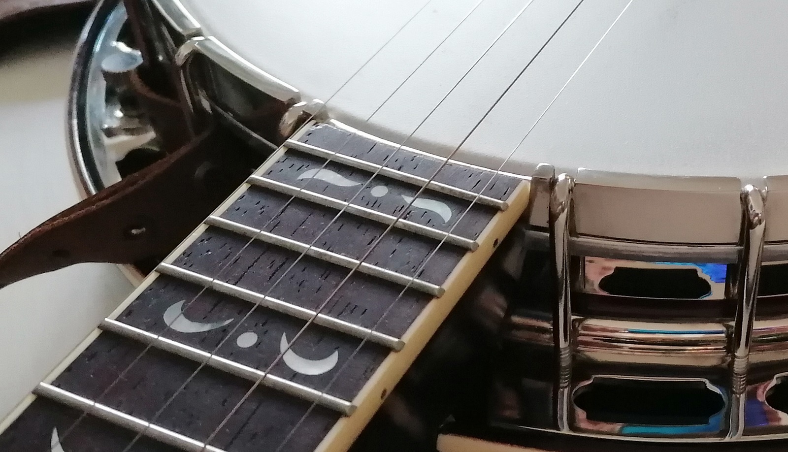 5 String Bluegrass Banjo - Neck