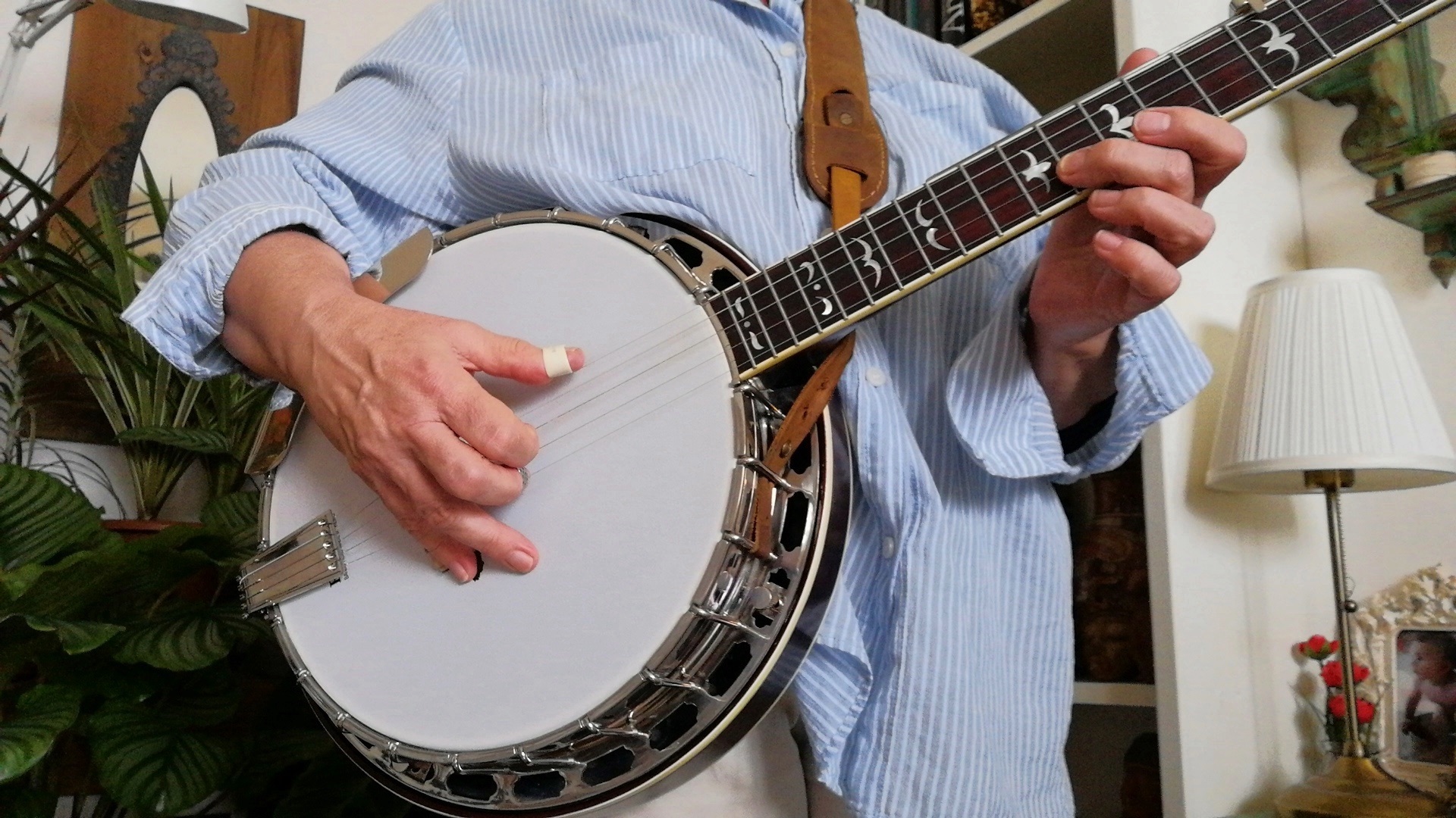 Bluegrass 5 String Banjo Player