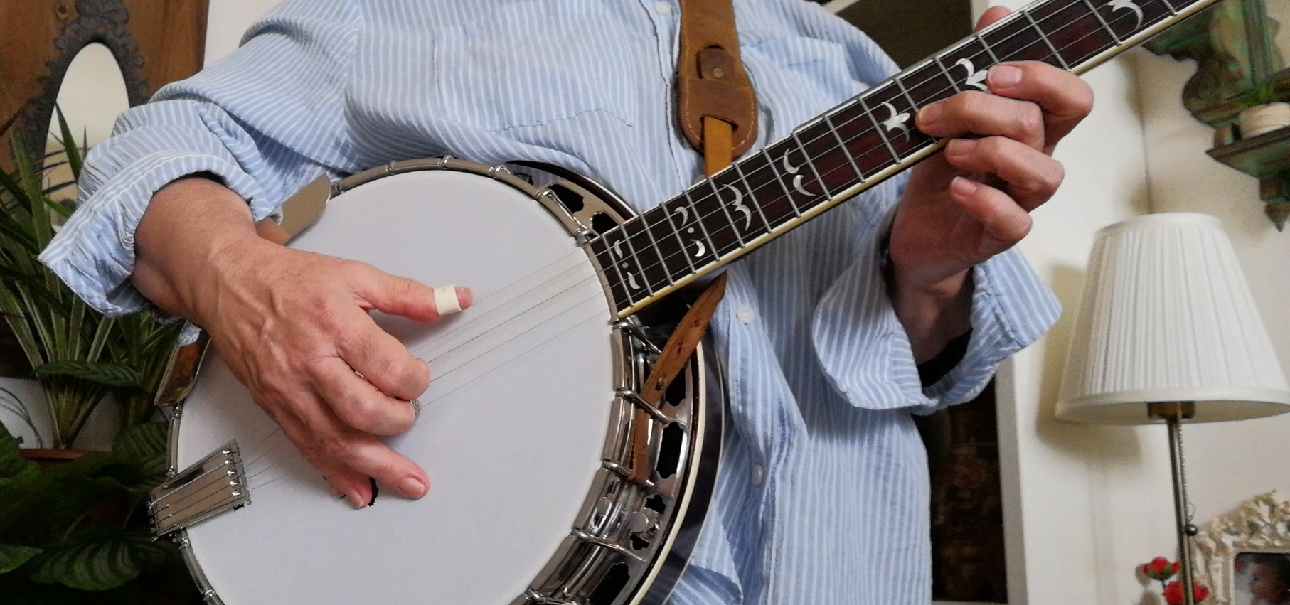 Bluegrass 5 String Banjo Player