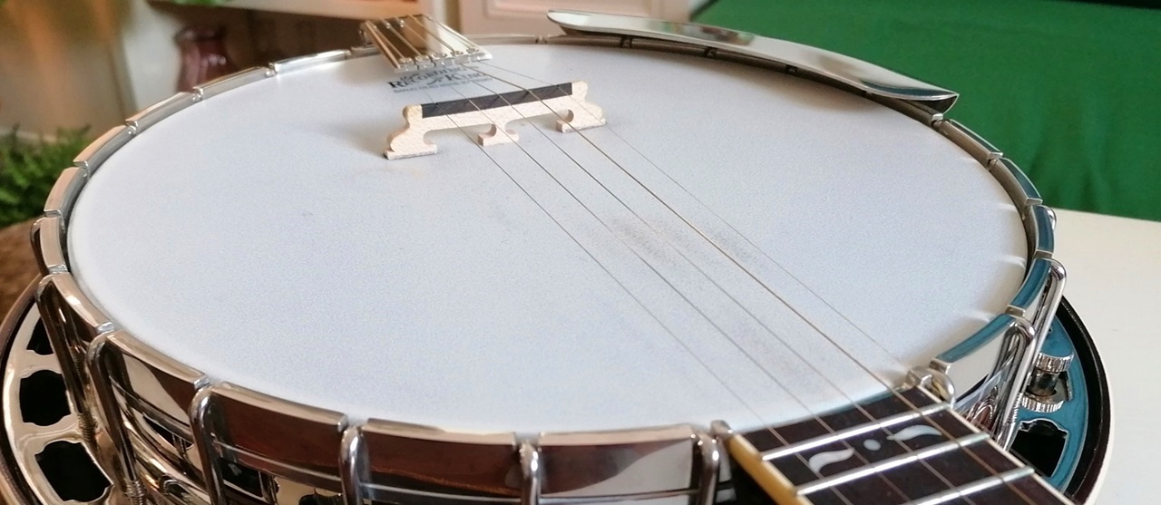 5 String Bluegrass Banjo - Head