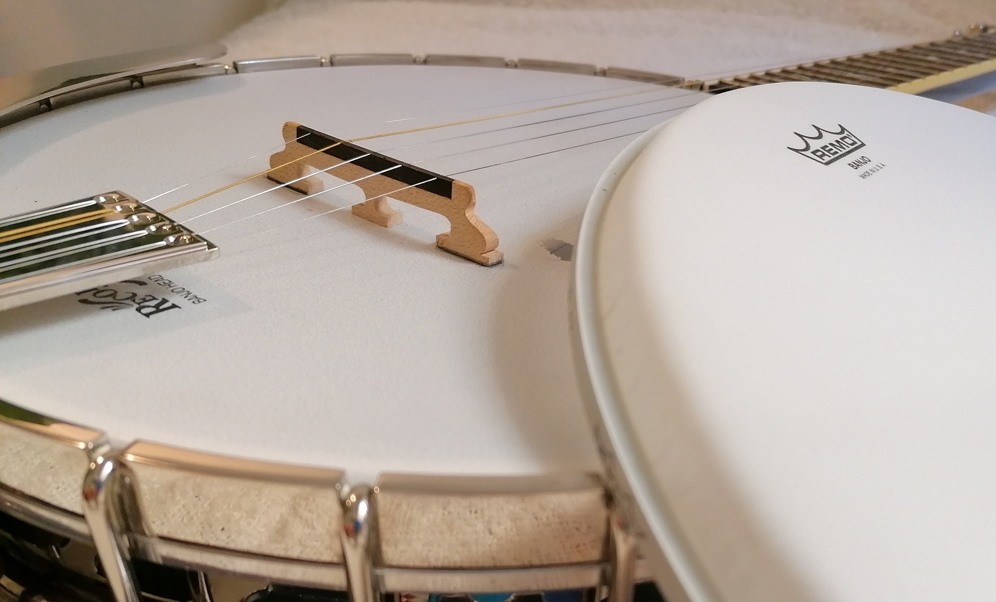 5 String Bluegrass Banjo - Head