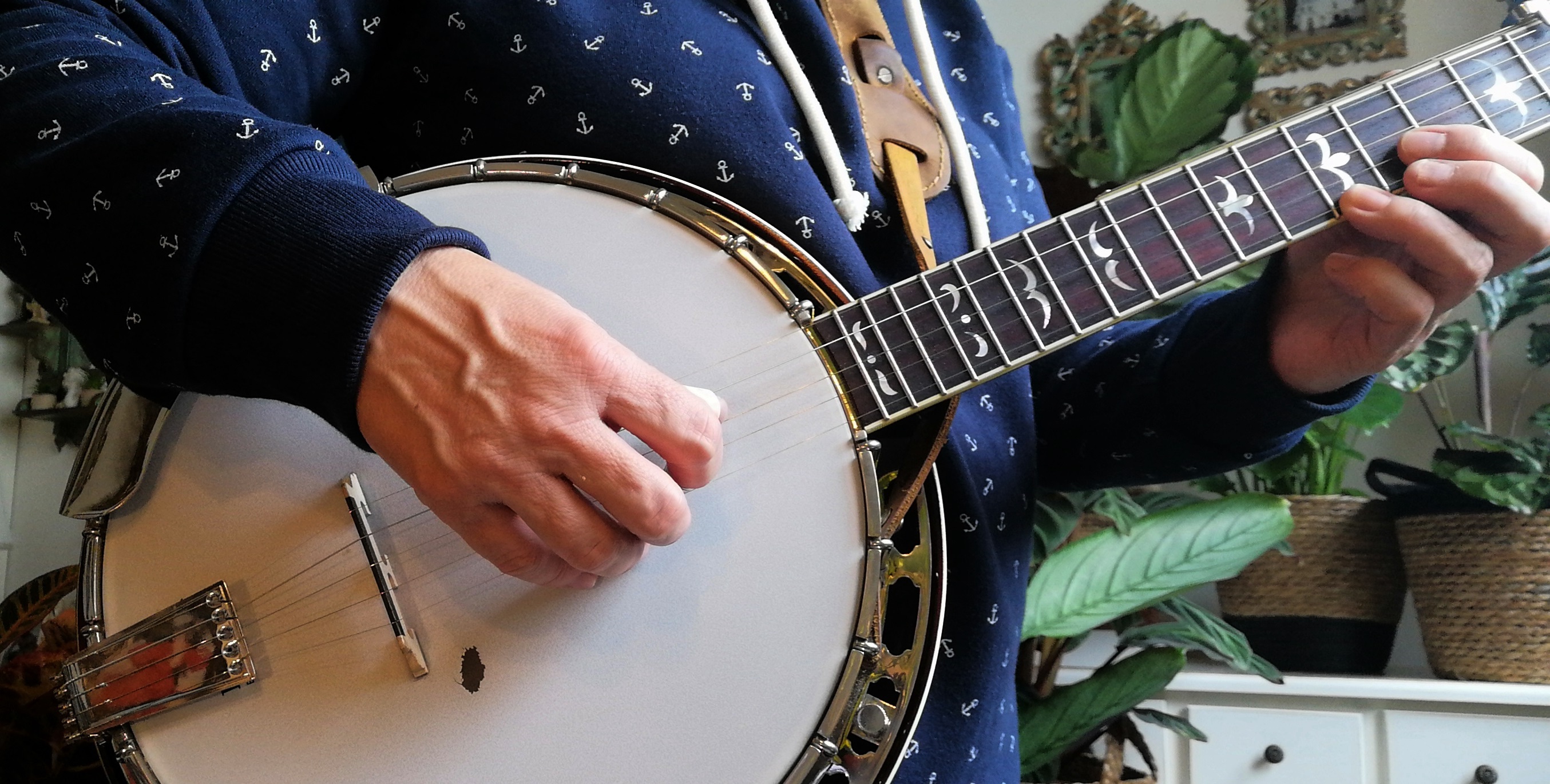 Bluegrass 5 String Banjo Player