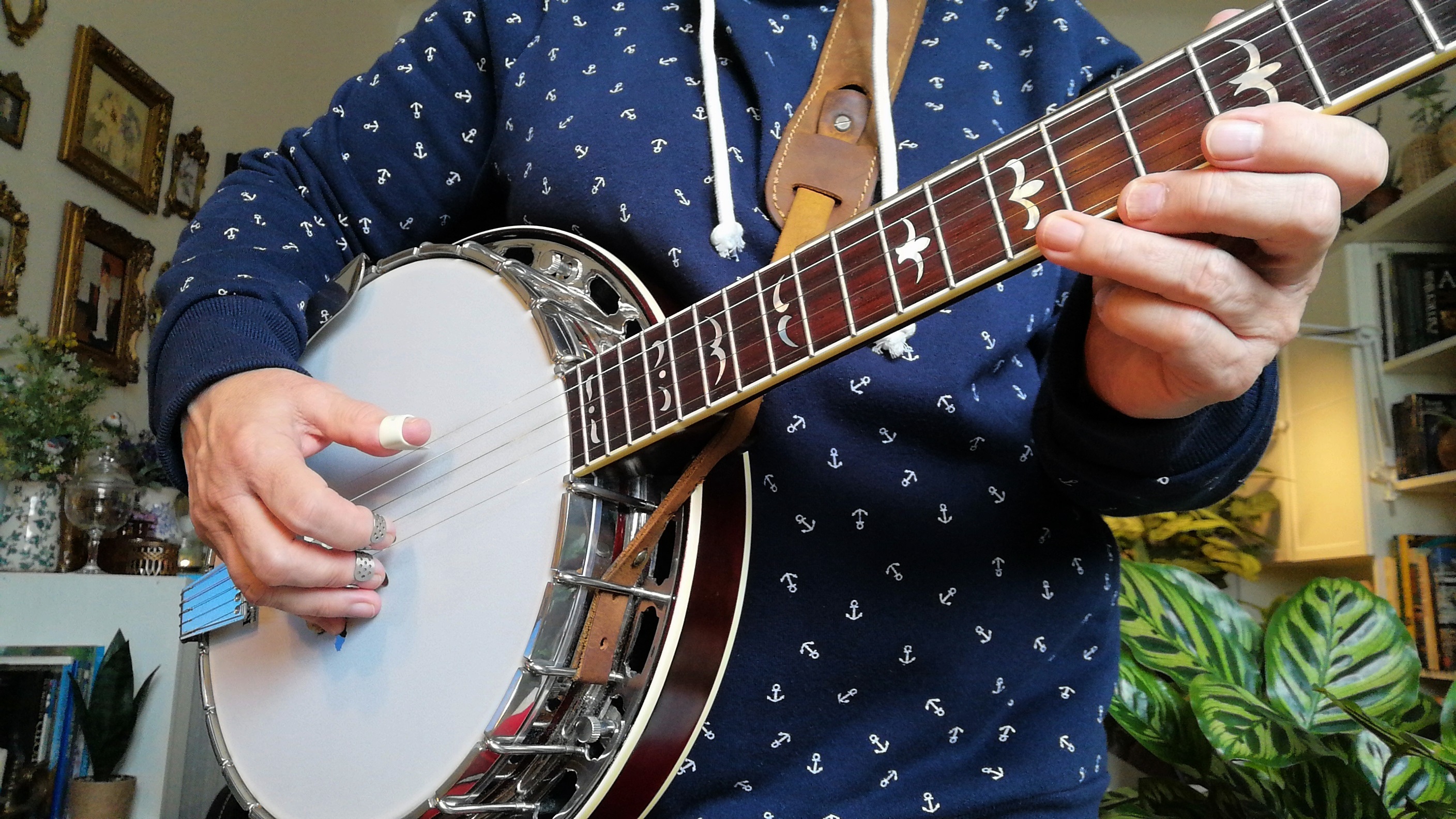 Bluegrass 5 String Banjo Player
