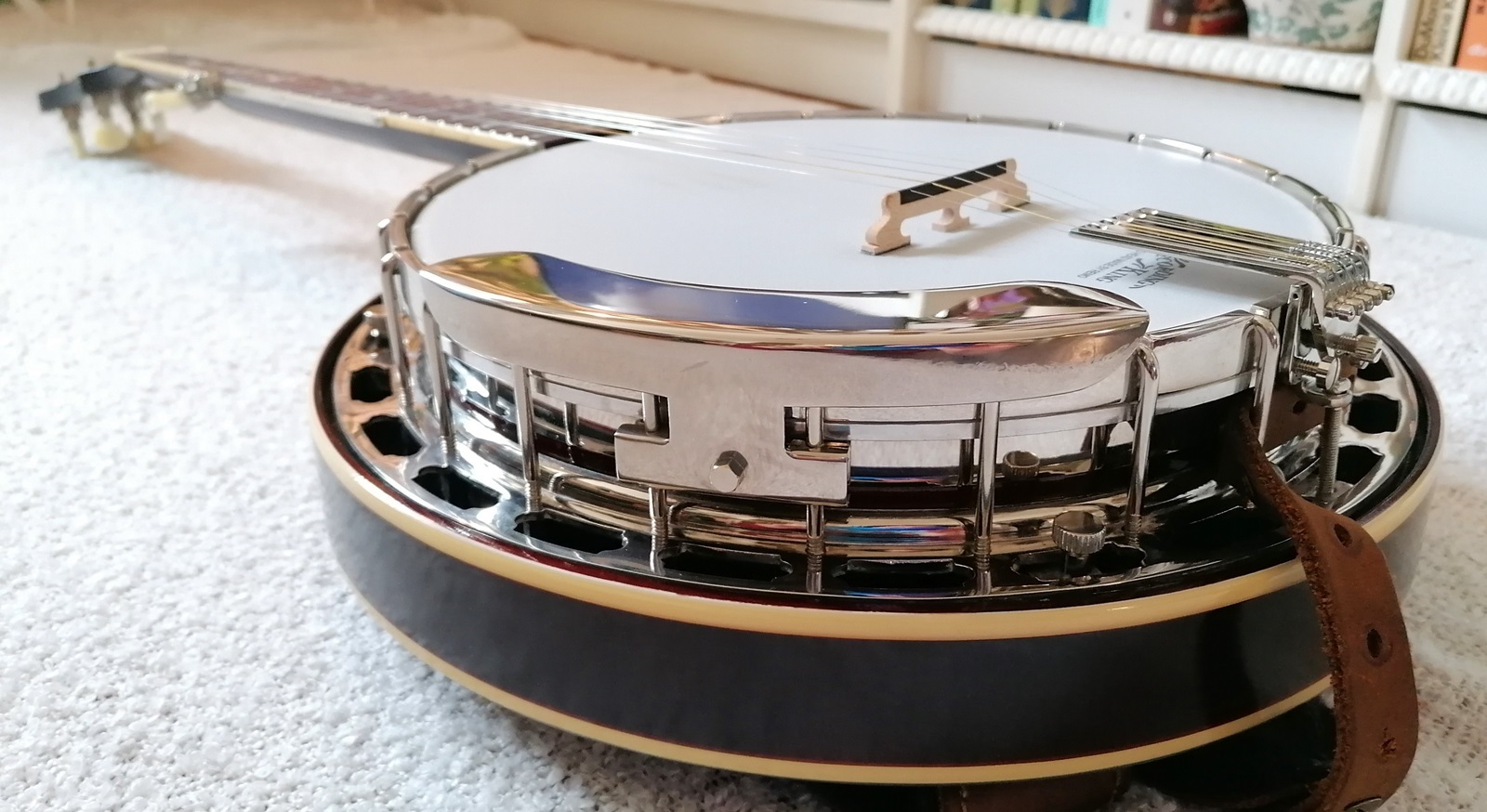 5 String Bluegrass Banjo