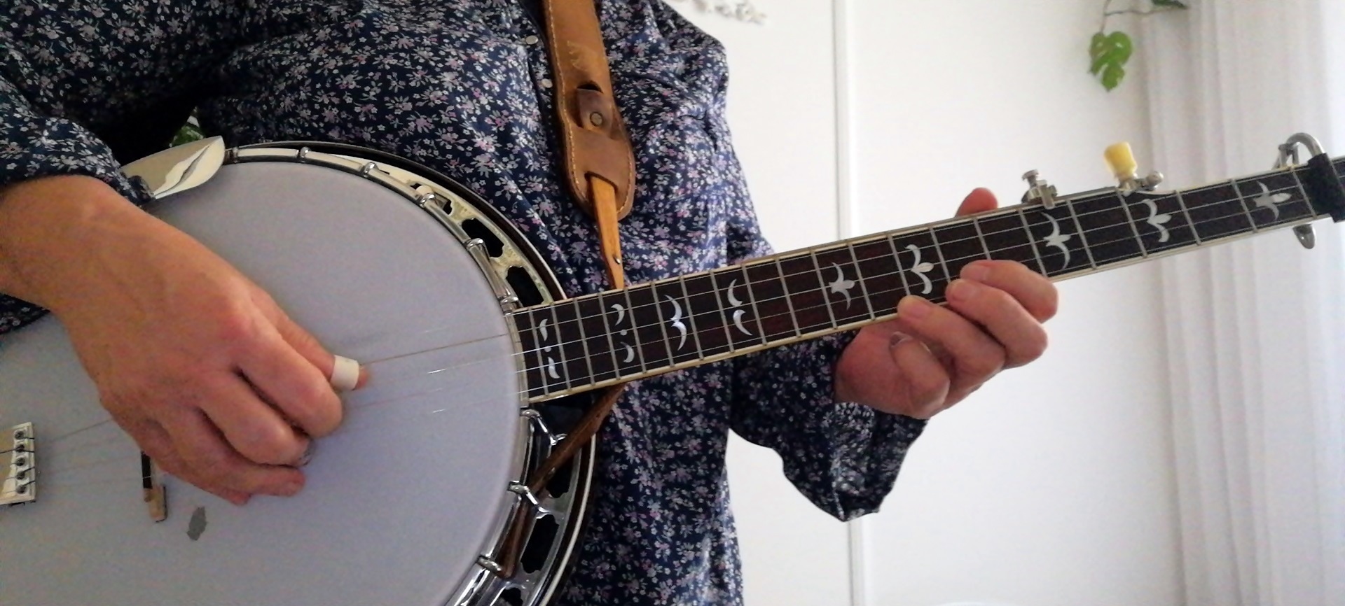 Bluegrass 5 String Banjo Player