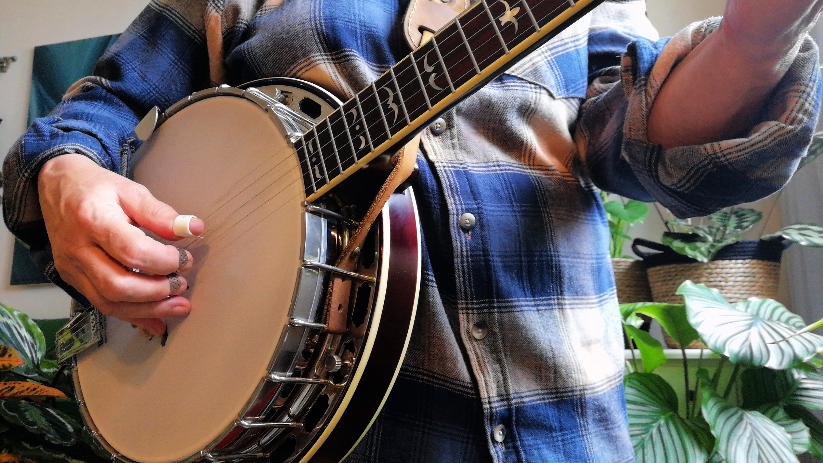 Bluegrass 5 String Banjo Player