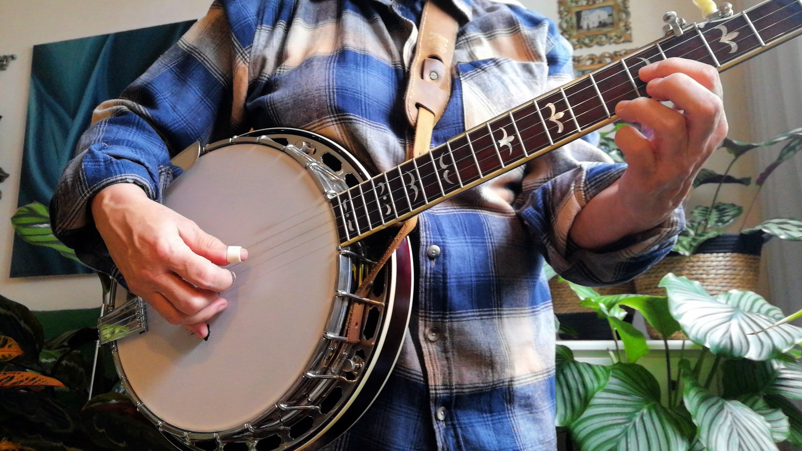 Bluegrass 5 String Banjo Player